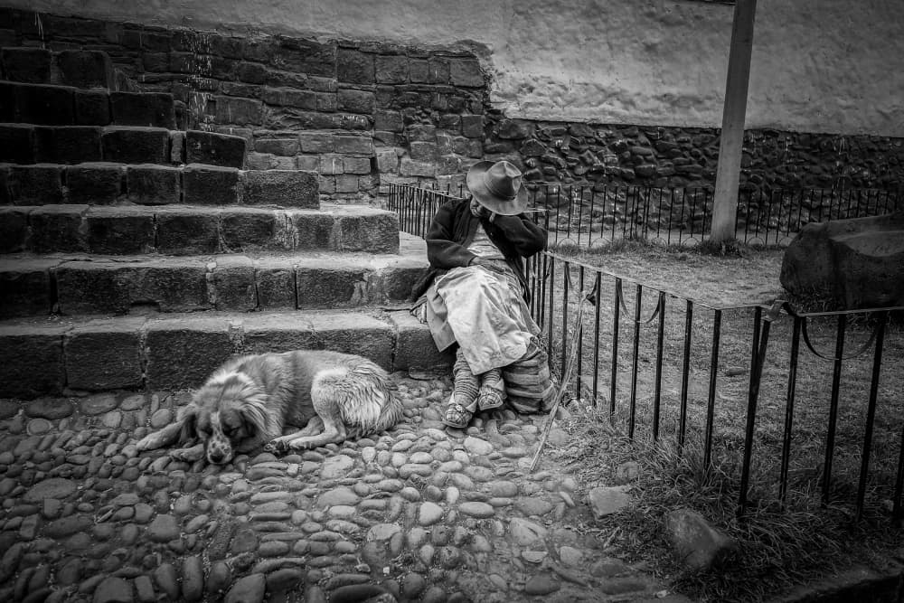 Quiet Companions by Wave Faber — canvas wall art