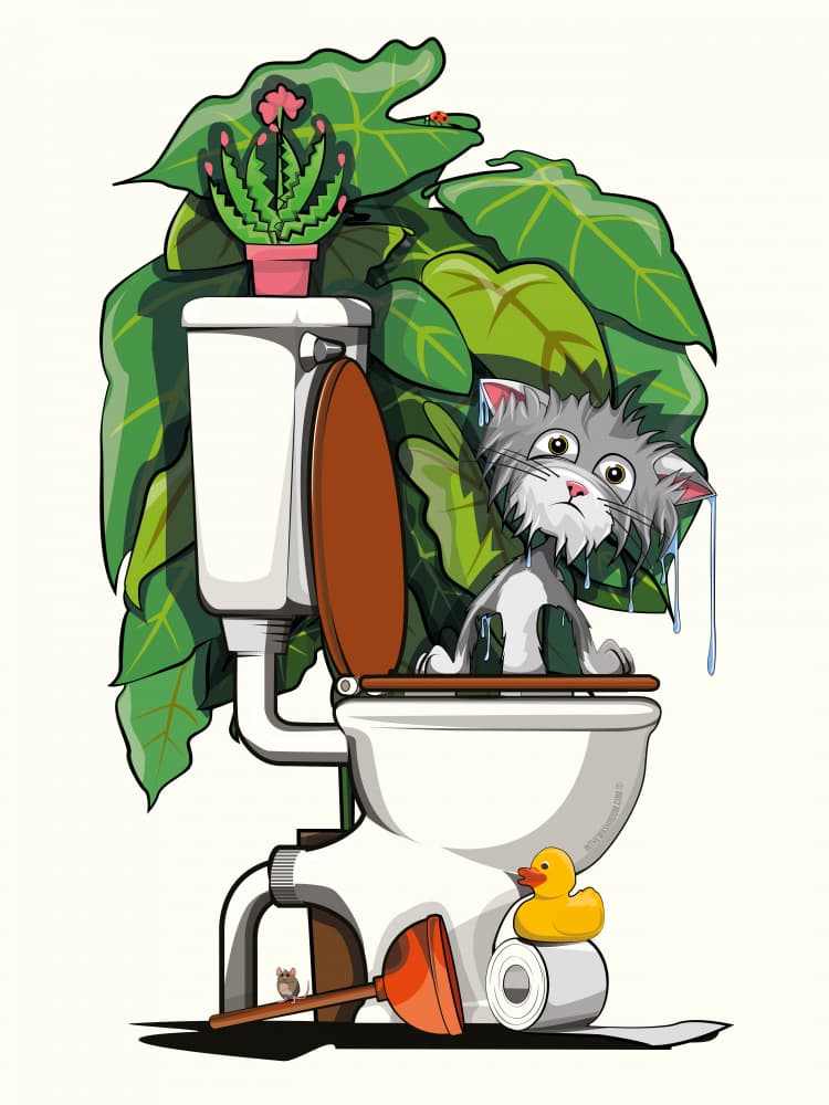 Wet Cat in Toilet by In The Washroom — canvas wall art