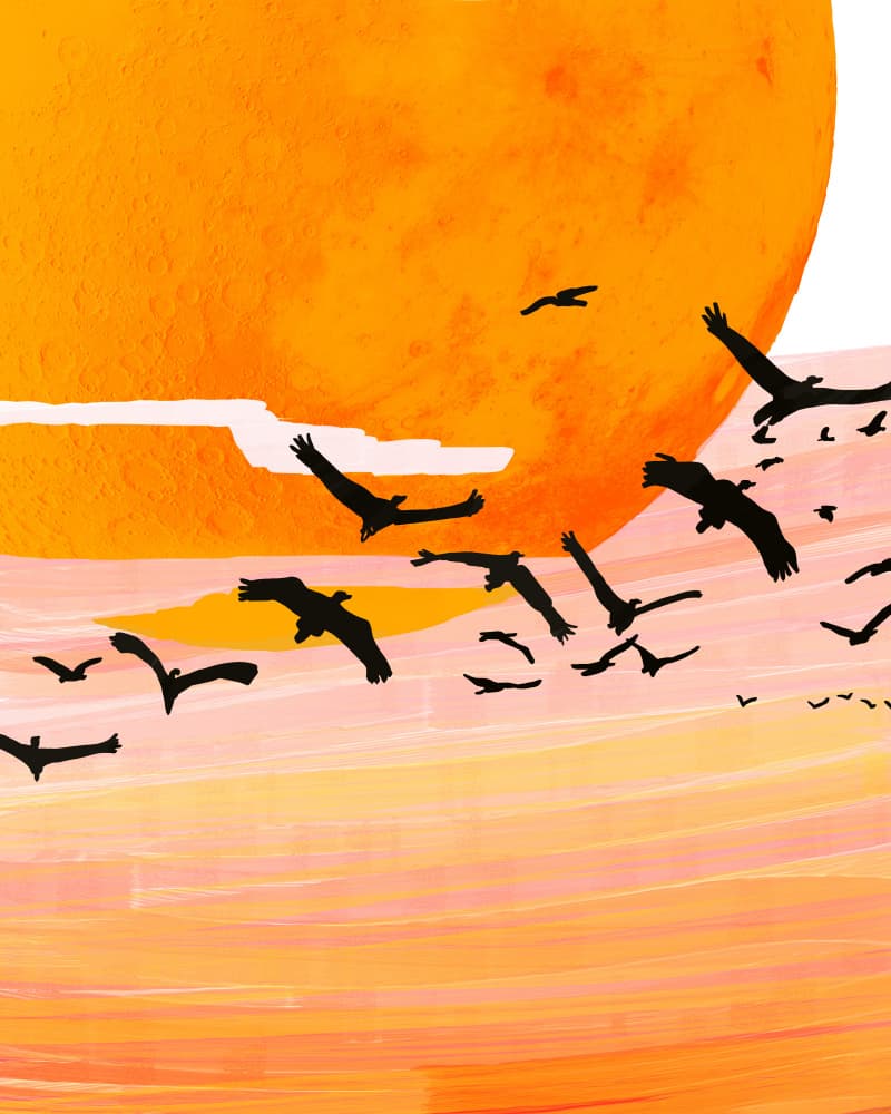 Birds in Golden Sky by Uma Gokhale — canvas wall art