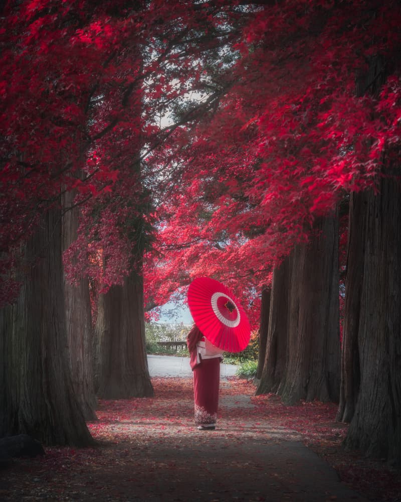 Red Autumn Path by Vu van quan — canvas wall art