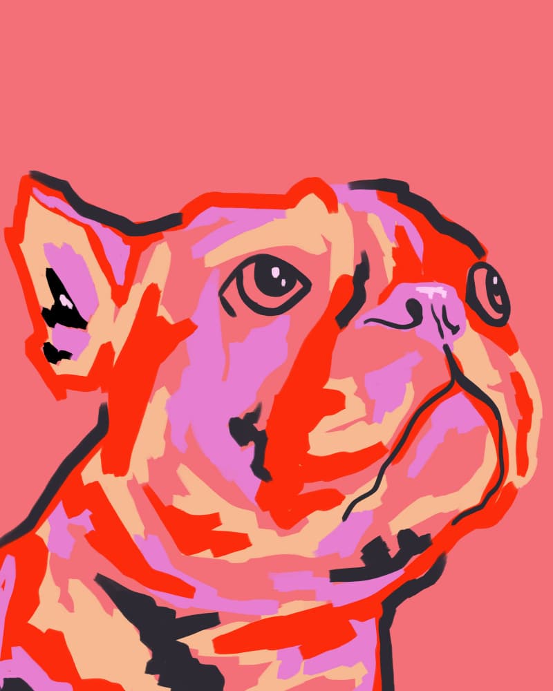 Colorful Pop Bulldog by Kintsugi99 — canvas wall art