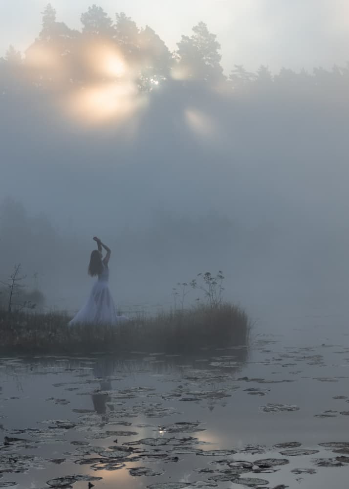 Misty Morning Grace by Leszek Paradowski — canvas wall art