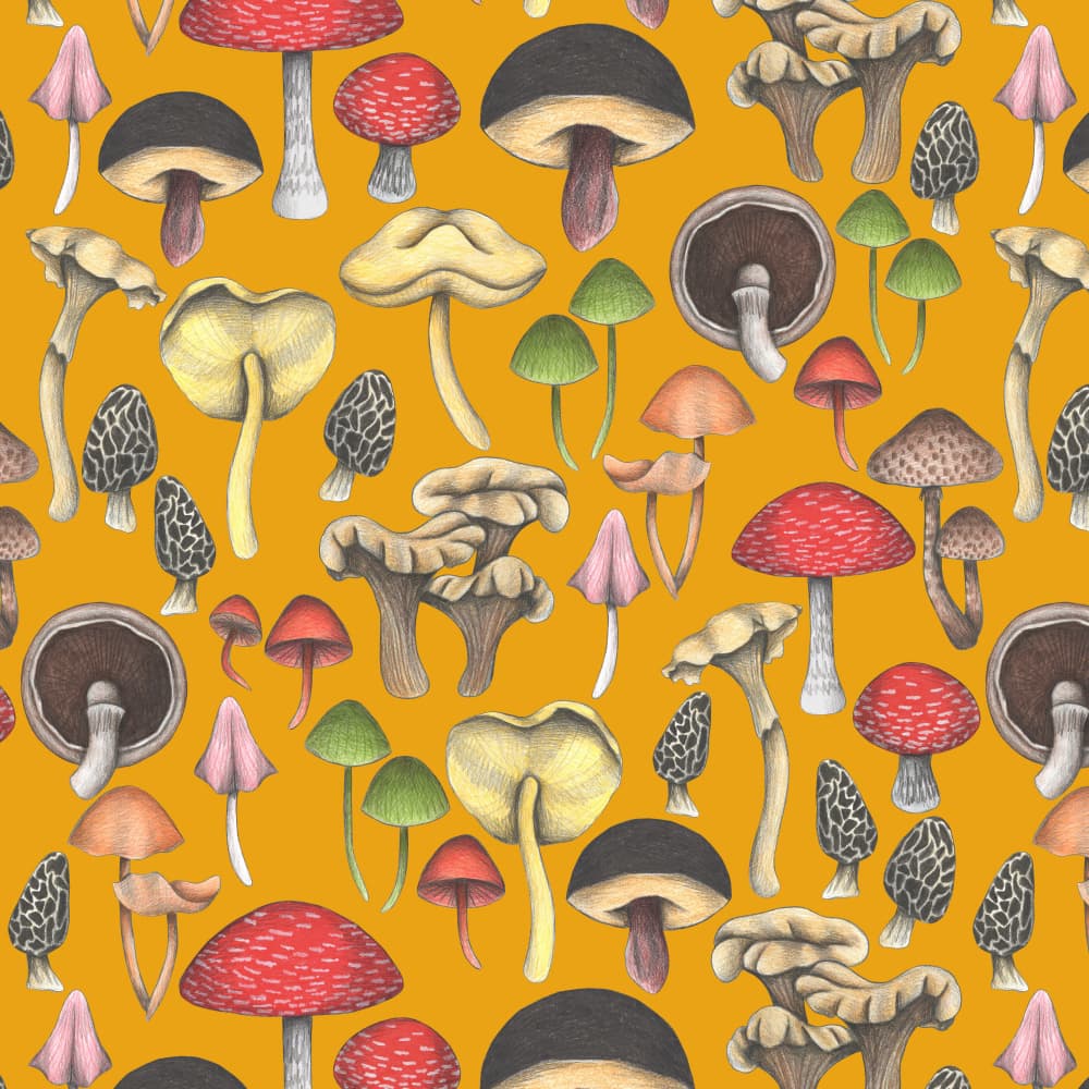 Wild Mushrooms Fantasy by Cecilia Battaini — canvas wall art