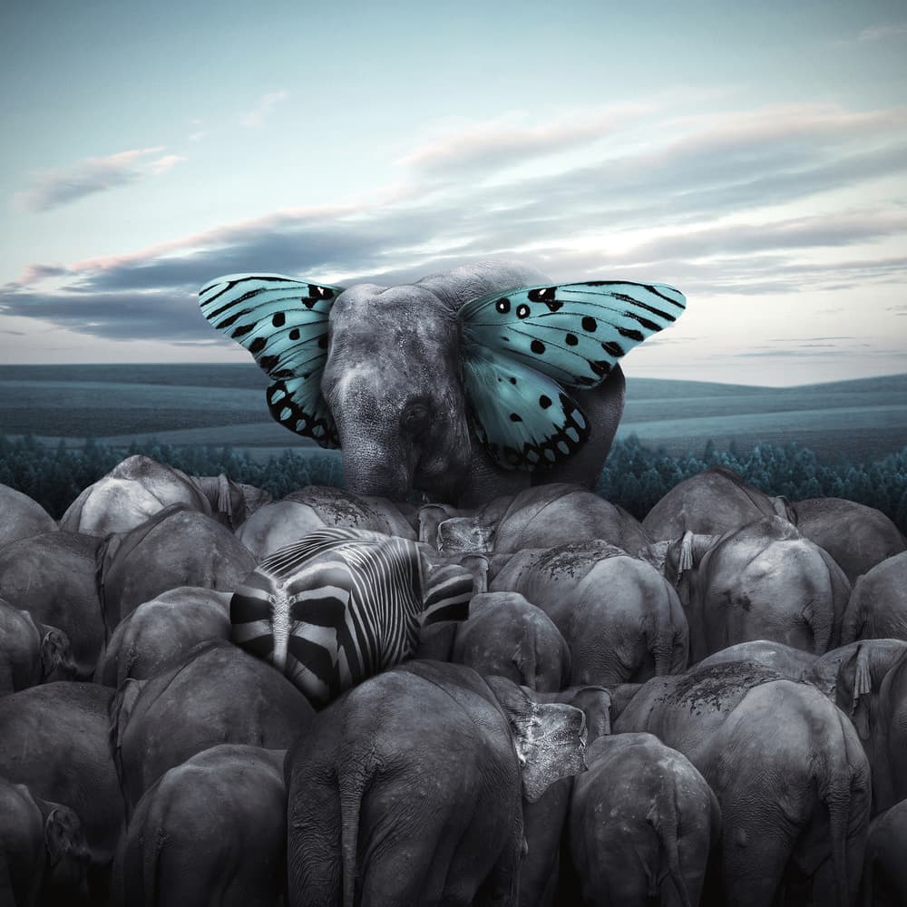 Unique Elephant Blue Wings by hardibudi — canvas wall art