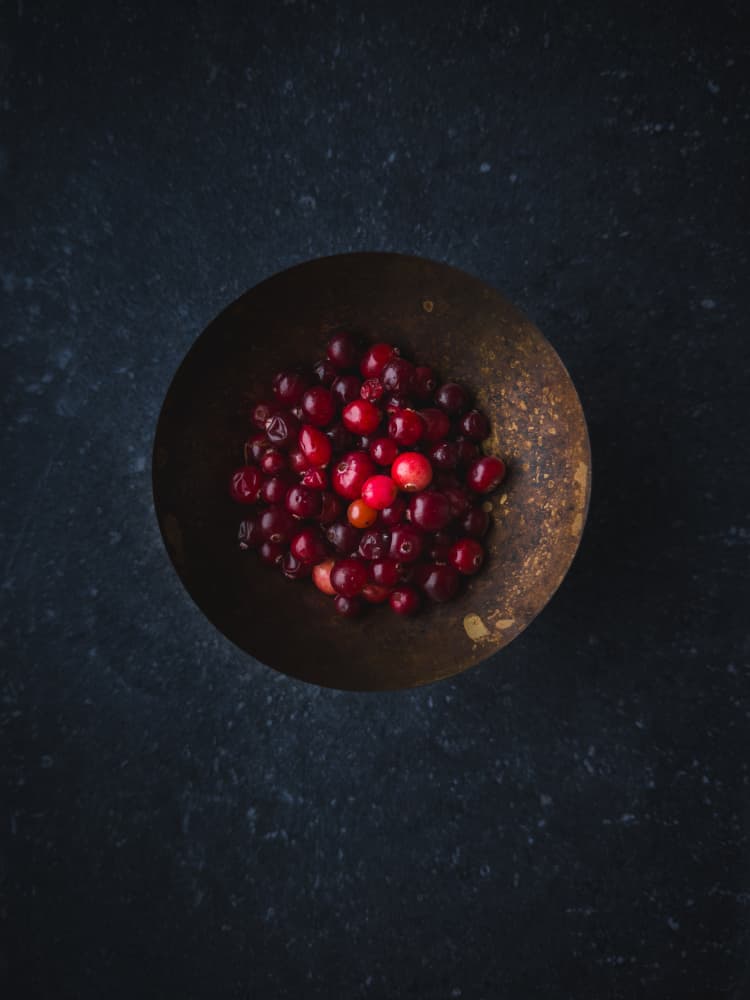 Dark Cranberry Bowl by Karina Aleksandrova — canvas wall art