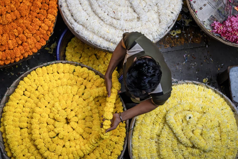 Vibrant Flower Market by Linda Wride — canvas wall art