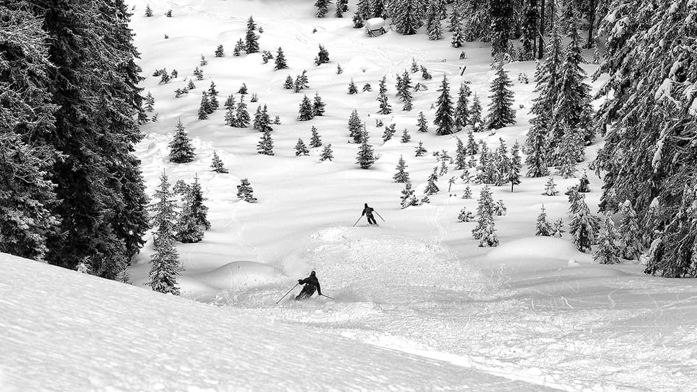 Skiing Deep Powder by Marcel Rebro — canvas wall art