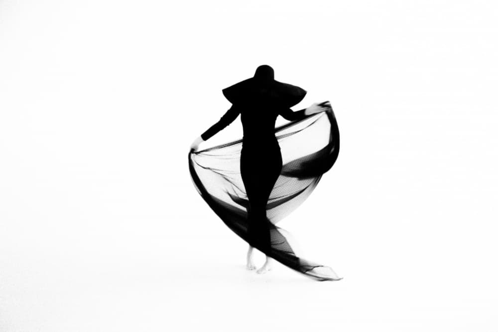 Elegant Flowing Silhouette by Dzintra Zvagina — canvas wall art
