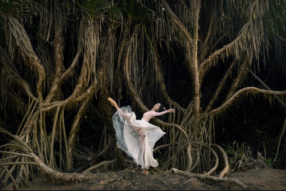 Graceful Root Dance by Waldemar Szmidt — canvas wall art