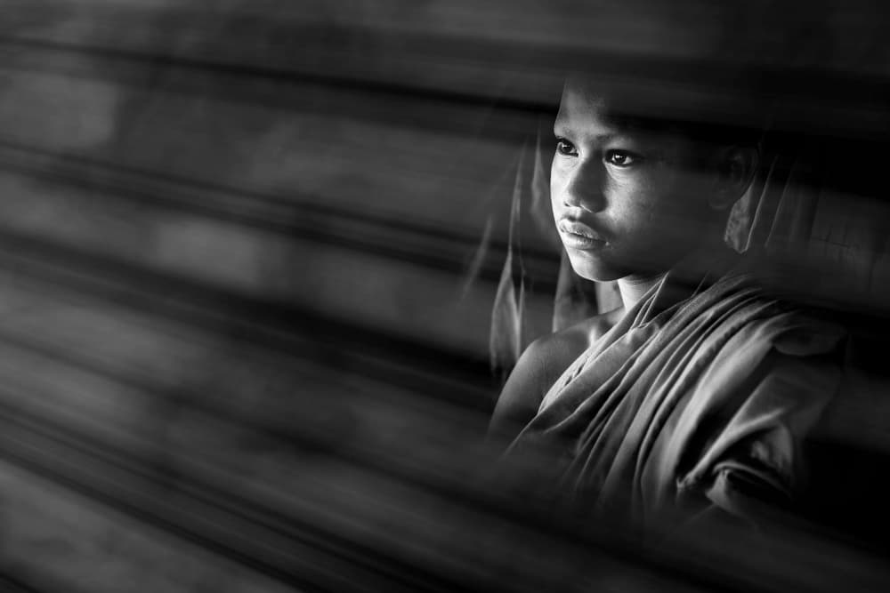 Contemplative Young Monk by Gloria Staffa — canvas wall art
