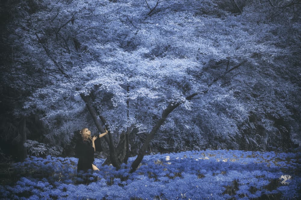 Blue Forest Dream by KOIKI — canvas wall art