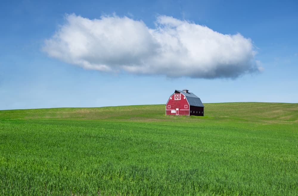 Red Barn Green Field by Leah Xu — canvas wall art