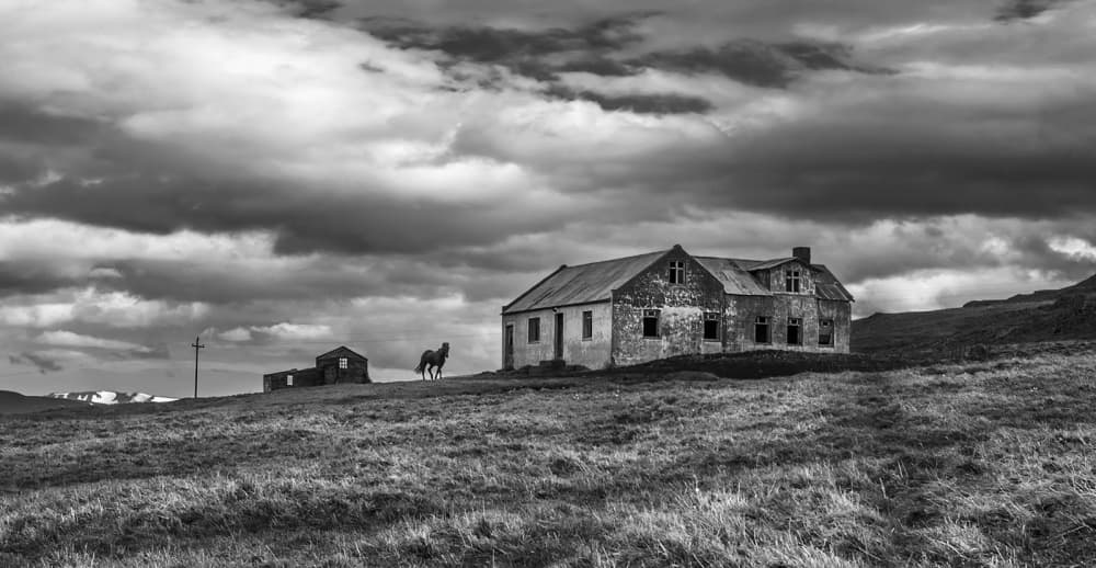 Old Farmhouse Lone Horse by Bragi Ingibergsson - BRIN — canvas wall art