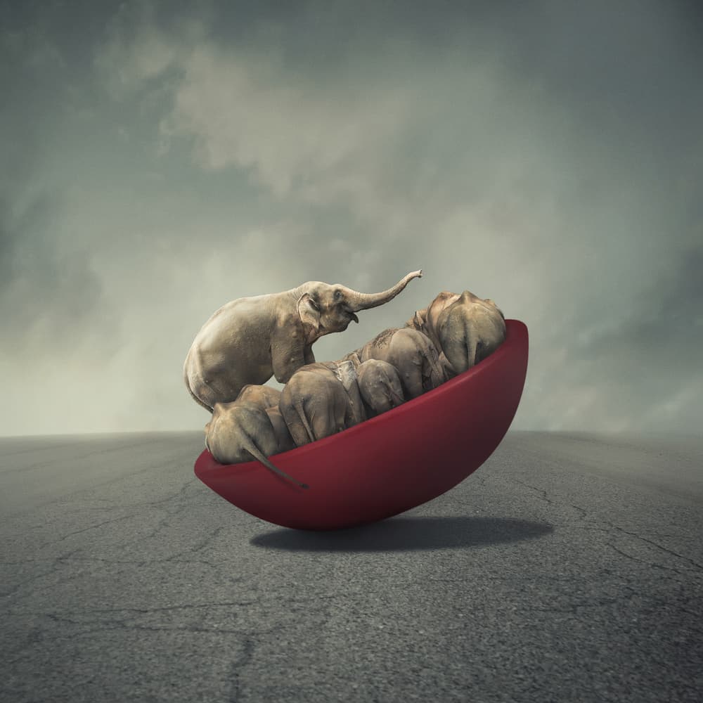 Life is a balance by hardibudi — canvas wall art