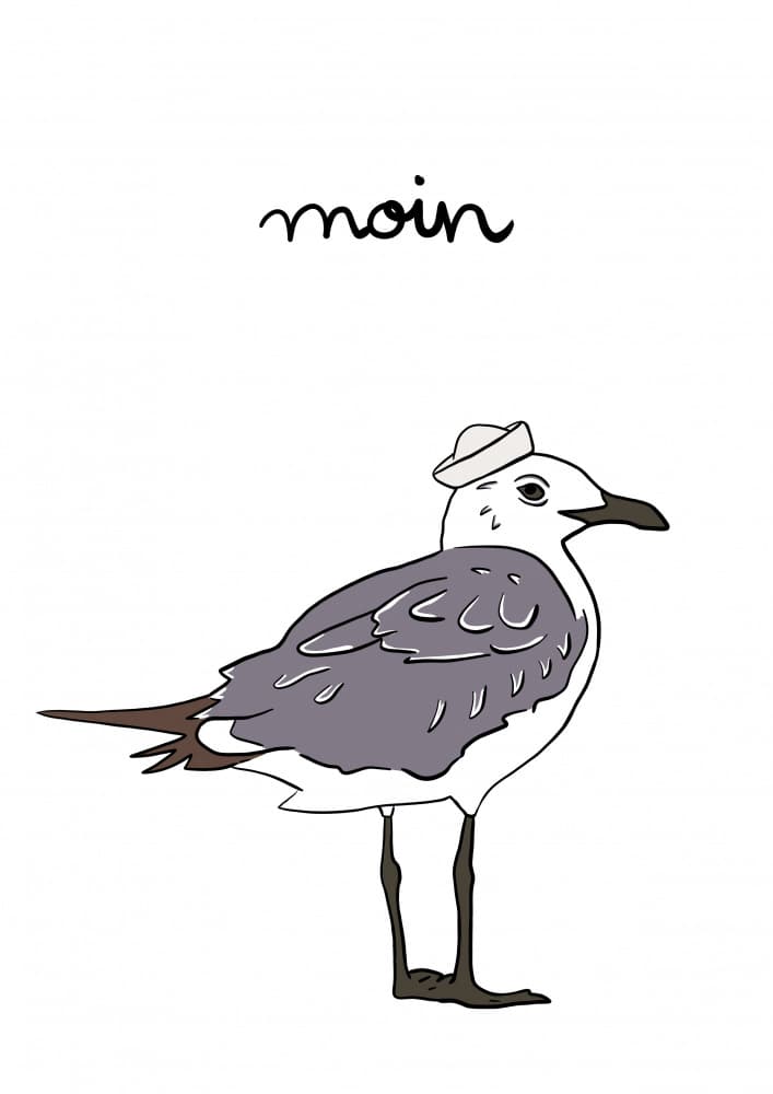 Moin Sailor Seagull