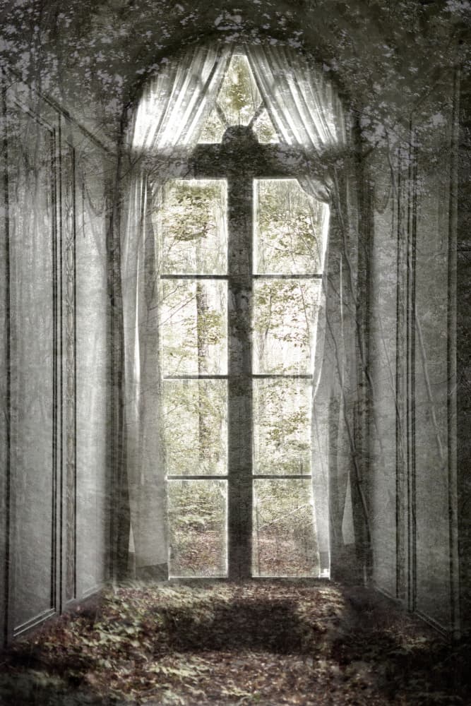 Forgotten Forest Window by Christina Sillen — canvas wall art