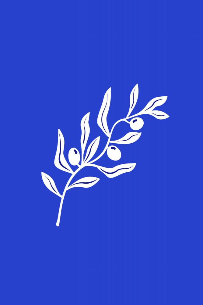 Mediterranean Olive Branch by Karen Menzenbach — canvas wall art