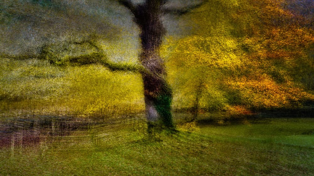 Autumn Dream Tree by Marco Antonio Cobo — canvas wall art