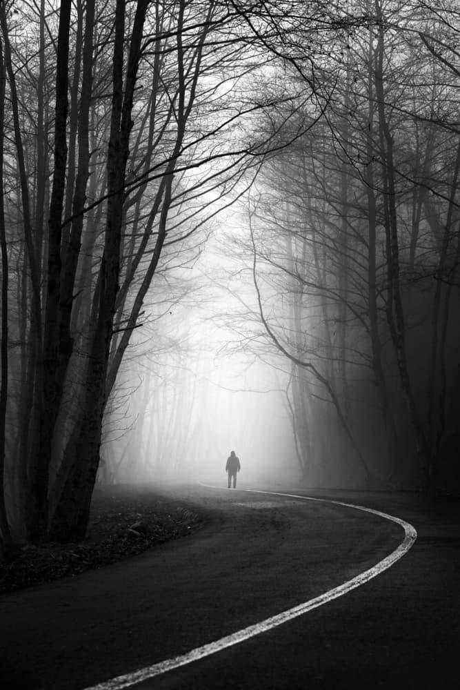 Lone Figure Foggy Road by Hosein Babaei — canvas wall art