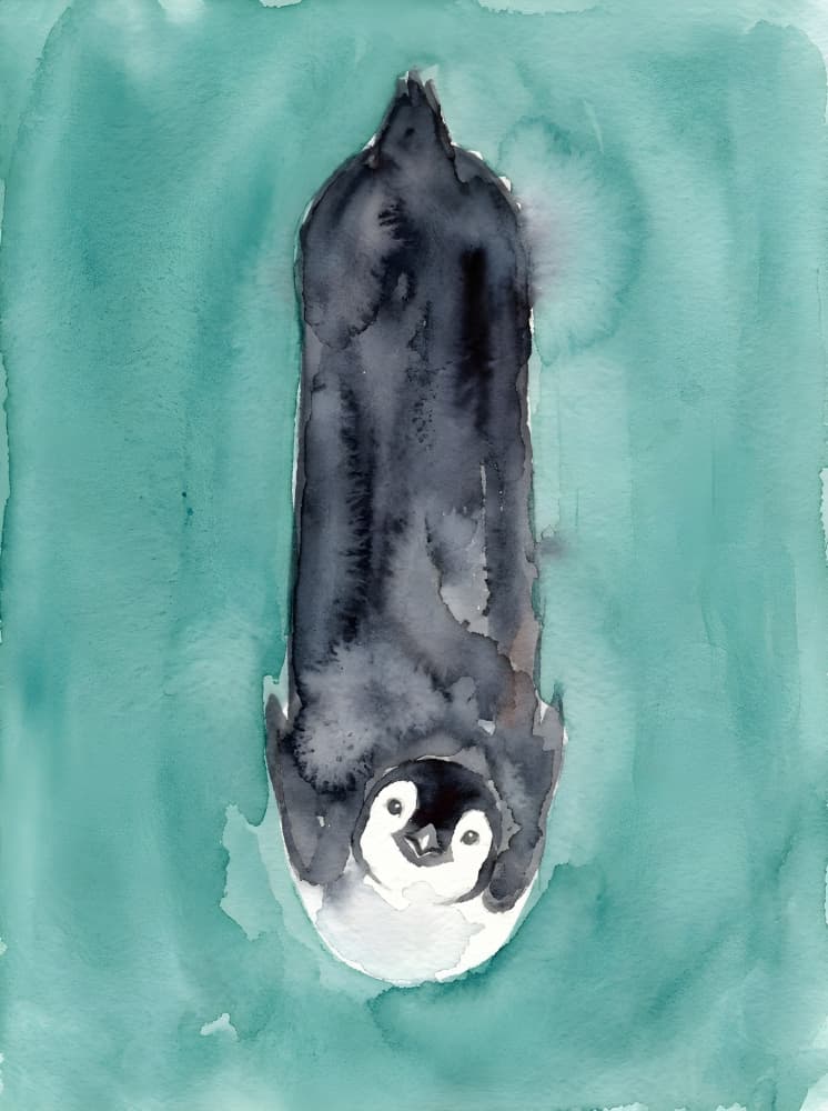 Underwater Penguin Play by HUGO — canvas wall art
