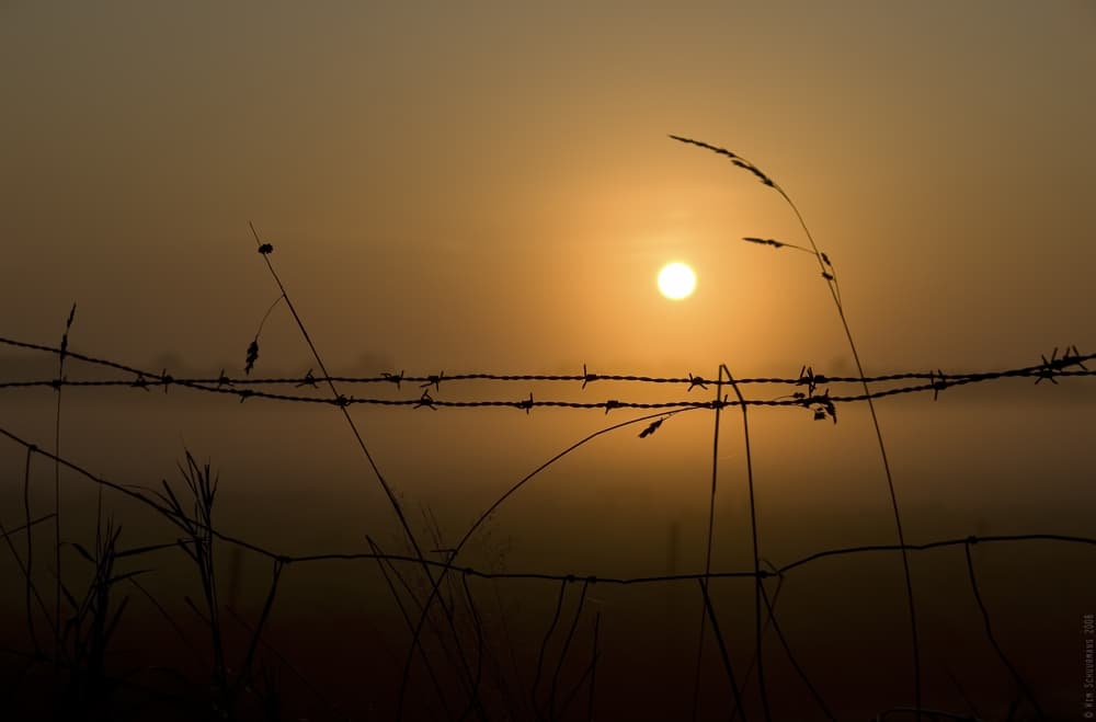 Hazy Sunrise Barbed Wire by Wim Schuurmans — canvas wall art