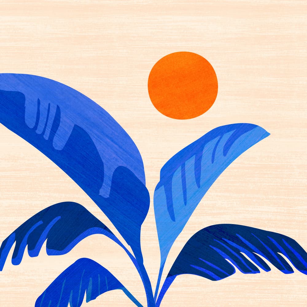 Indigo Tropics by Kristian Gallagher — canvas wall art
