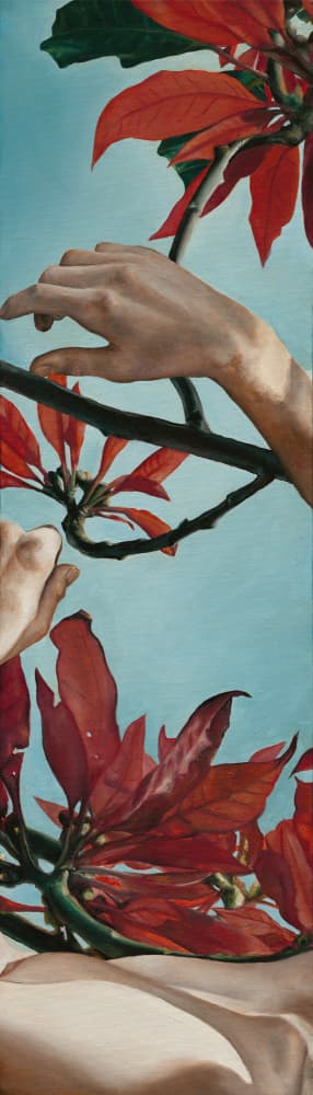 Hands Among Red Leaves by Viccy Wanliss — canvas wall art