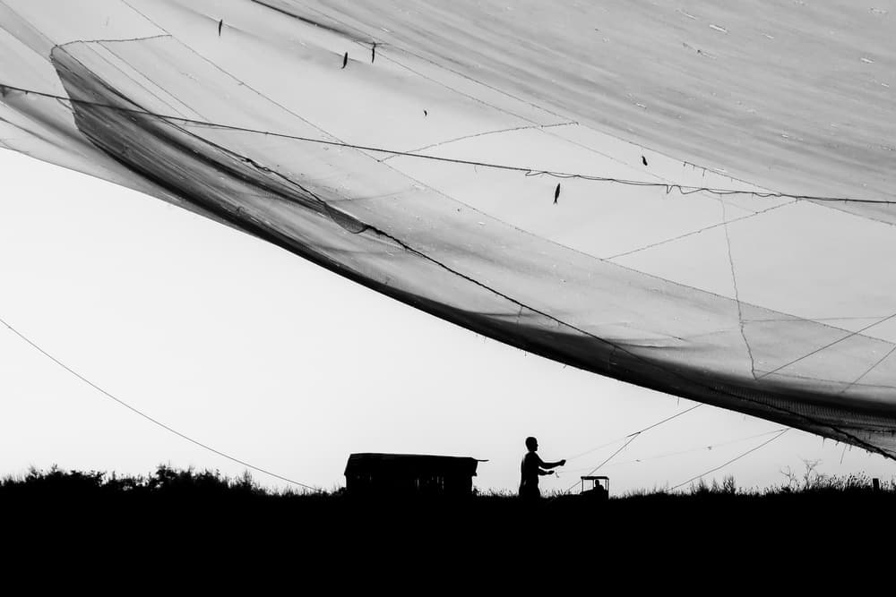 Large Net Silhouette by Simon Delvoye — canvas wall art