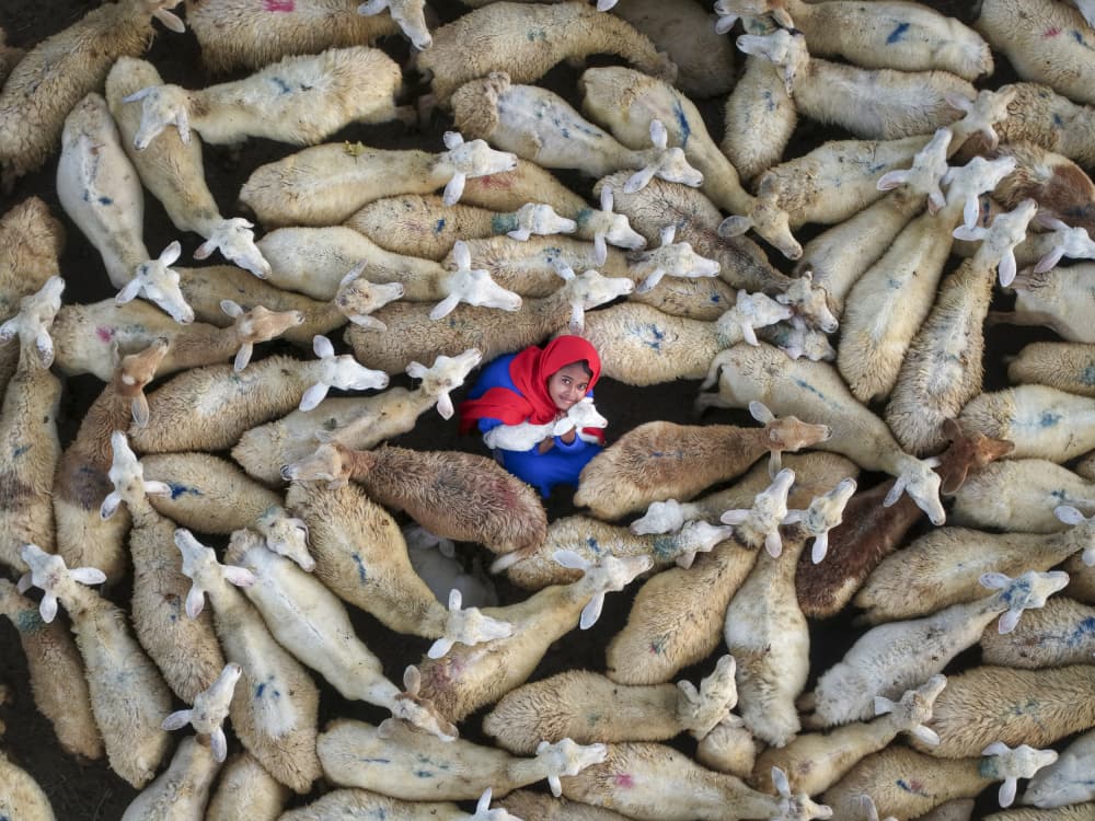Smiling Child Among Sheep by woo jung choi — canvas wall art