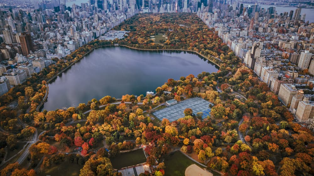 Central Park Fall Foliage by Wei (David) Dai — canvas wall art