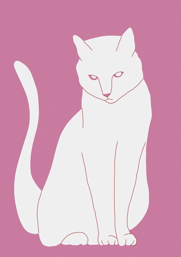 Elegant White Cat by Sharyn Bursic — canvas wall art