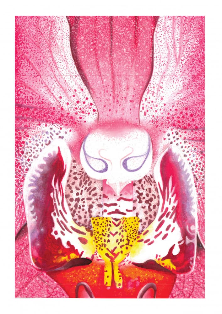 Vibrant Orchid Bloom by Julia Holmes — canvas wall art