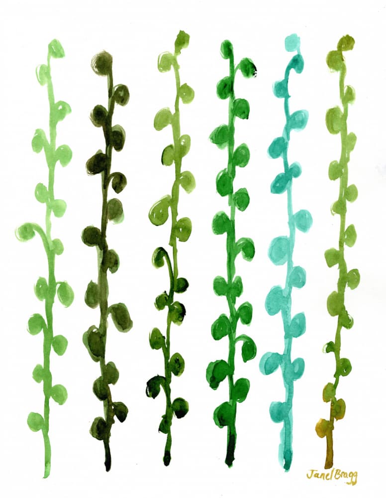 Green Botanical Stems by Janel Bragg — canvas wall art