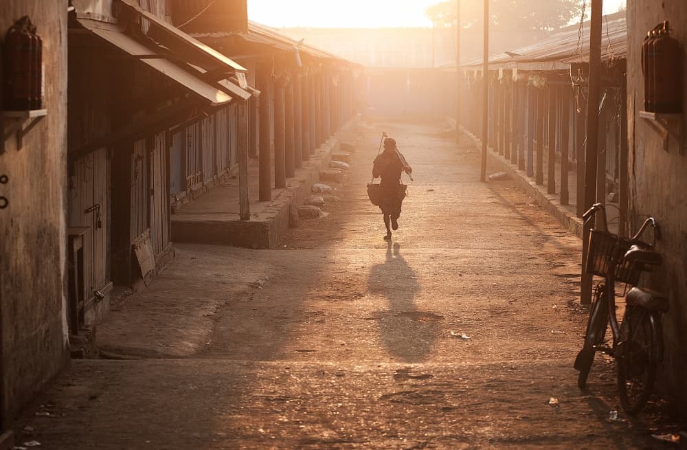 Running Through Golden Light by Wayne Pearson — canvas wall art