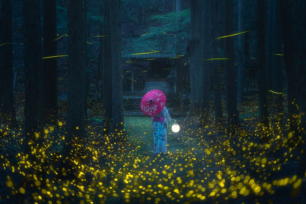 Firefly Forest Glow by Vu van quan — canvas wall art