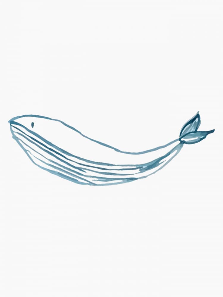 Peaceful Blue Whale by Elizabeth C — canvas wall art