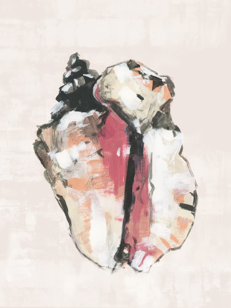 Abstract Conch Shell