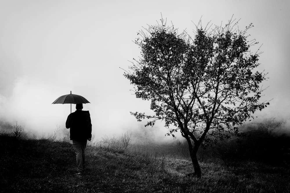 Solitary Walk in Fog by Valentin Borsan — canvas wall art