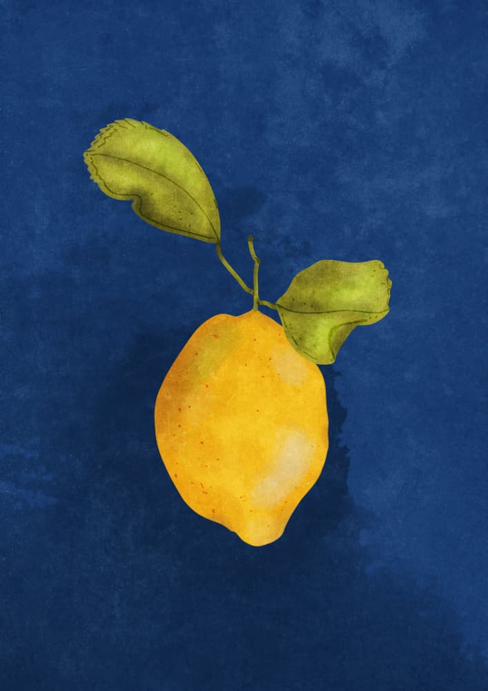 Just a little lemon by Raissa Oltmanns — canvas wall art