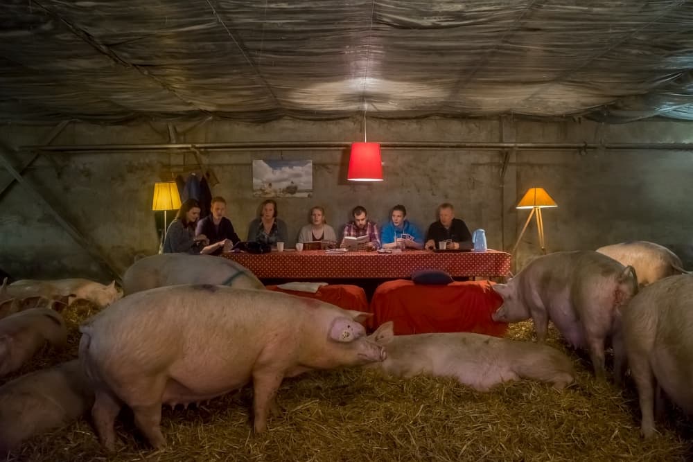 Barn Meeting with Pigs by Gert van den Bosch — canvas wall art