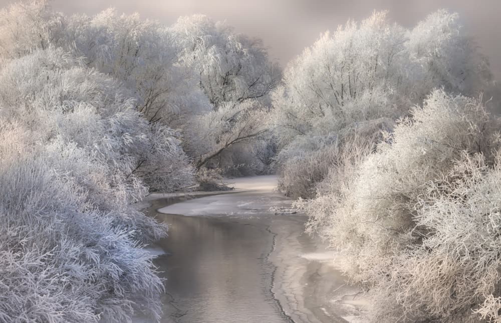 Serene Winter River