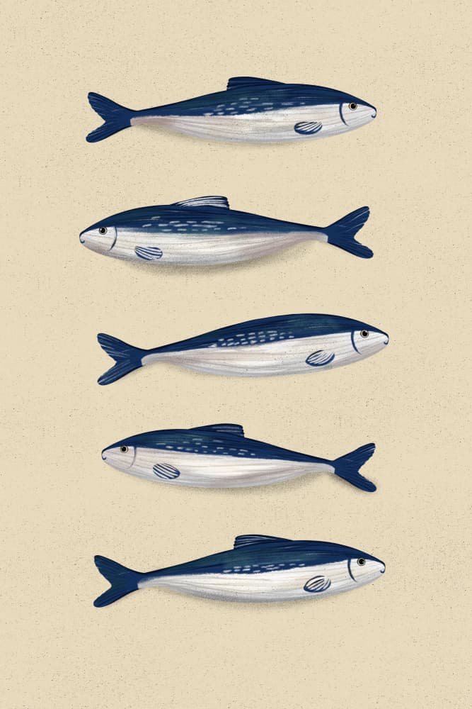 Blue Sardines Pattern by EMELIEmaria — canvas wall art