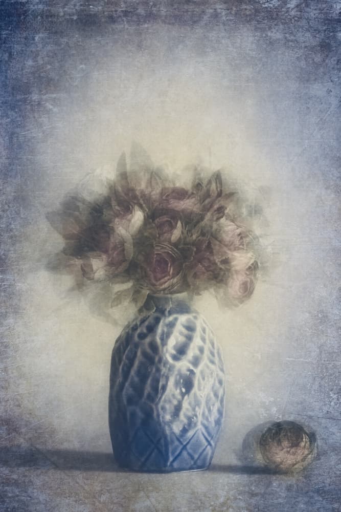 Faded Rose Still Life by Cicek Kiral — canvas wall art