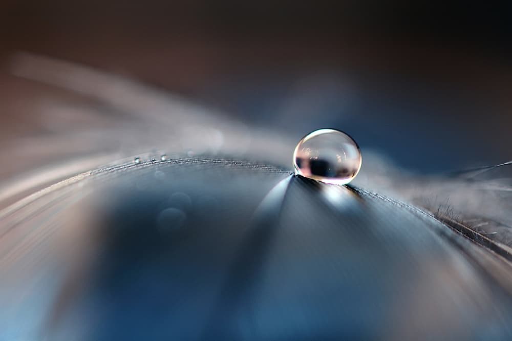 Shimmering Feather Droplet by Dmitry Doronin — canvas wall art