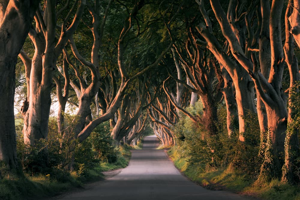 Red Avenue by Stefan Hefele — canvas wall art