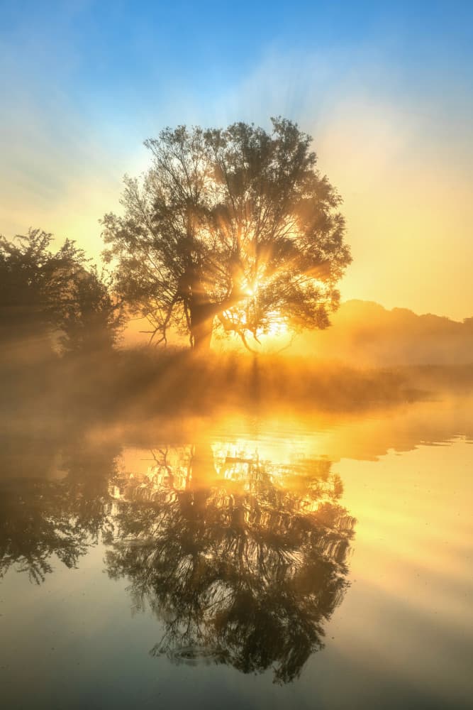 Golden Morning Reflection by Keller — canvas wall art