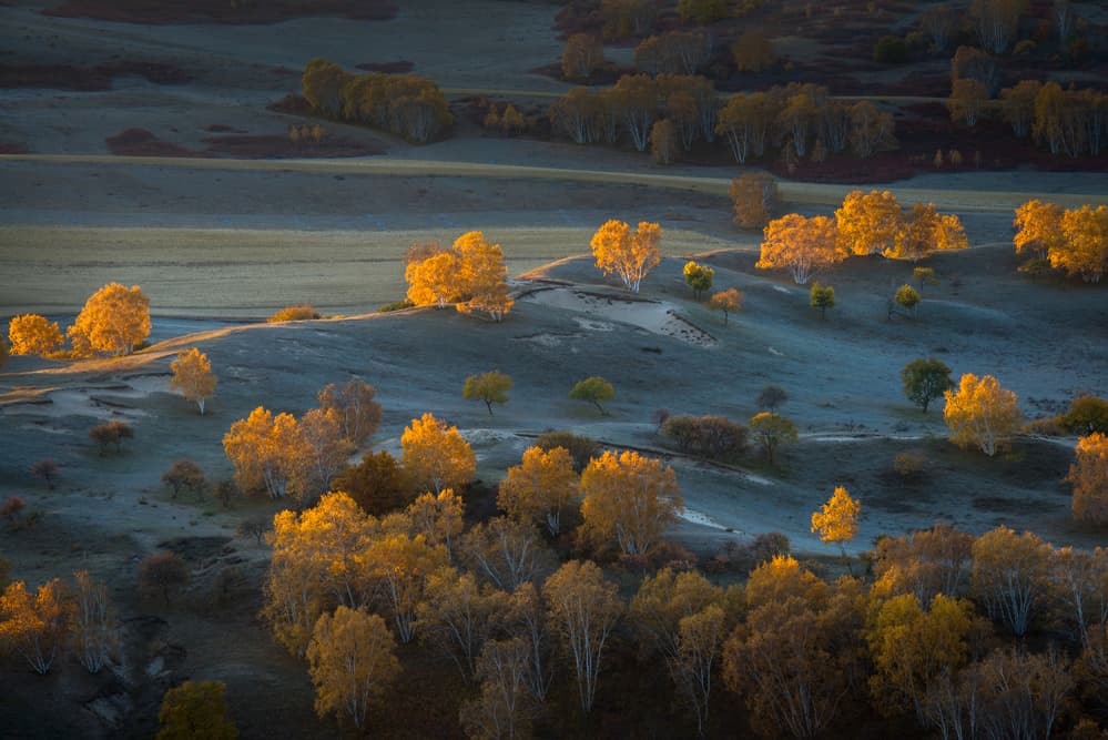 Golden Autumn Morning Hills by C. Mei — canvas wall art