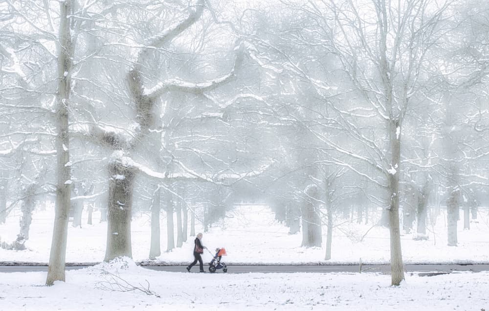 Peaceful Winter Stroll by Peter Davidson — canvas wall art