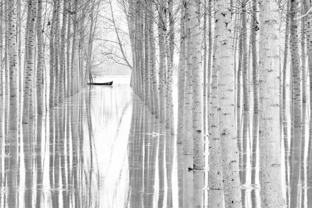 Flooded Forest Boat by Aglioni Simone — canvas wall art