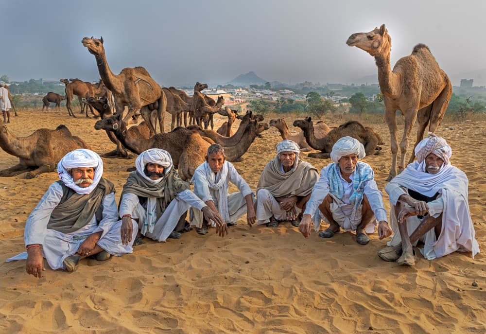 Desert Men with Camels by Shaibal Nandi — canvas wall art